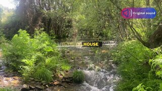 Land for sale in Fundão, Portugal — €197,500