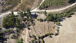 Terreno de 2500 m² em Castelo Branco