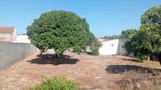 Land for sale in Salvaterra de Magos, Portugal — €114,900