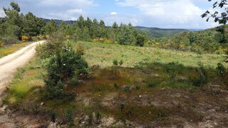 Land for sale in Fundão, Portugal — €9,999