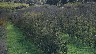 Land for sale in Óbidos, Portugal — €110,000