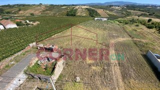 Land for sale in Bombarral, Portugal — €239,000