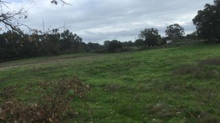 Land for sale in Castelo Branco, Portugal — €60,000