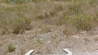 Land for sale in Vila Nova da Barquinha, Portugal — €120,000