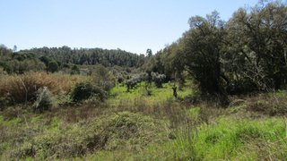 Land for sale in Sardoal, Portugal — €16,000