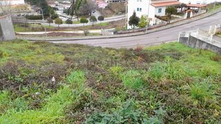 Land for sale in Castanheira de Pêra, Portugal — €31,150