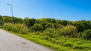 Land for sale in Óbidos, Portugal — €1,000,000