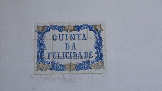 Terreno de 334 280 m² em Castelo Branco