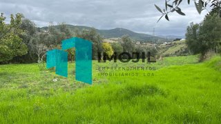 Terreno em Leiria · 3664 m² · 99 800 €