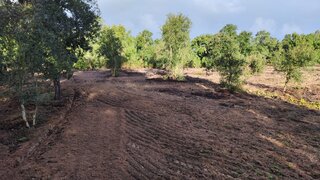 Land for sale in Cartaxo, Portugal — €50,000