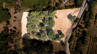 Land for sale in Bombarral, Portugal — €75,000