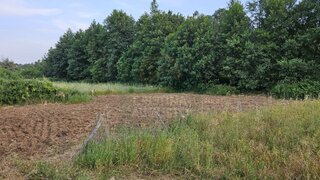 Terreno de 1040 m² em Castelo Branco