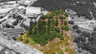 Land for sale in Cartaxo, Portugal — €400,000