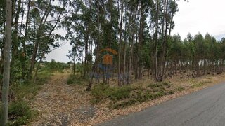 Land for sale in Cartaxo, Portugal — €118,000