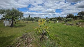 Terreno de 3500 m² em Castelo Branco