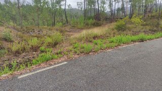 Terreno para venda em Sertã, Portugal — 40 000 €