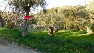 Terreno em Covilhã