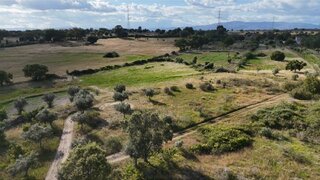 Terreno de 6500 m² em Castelo Branco