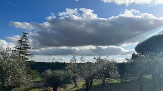 Land for sale in Alcanena, Portugal — €55,000