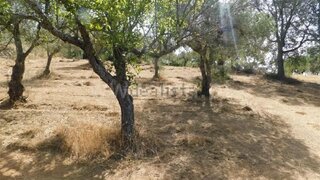Land for sale in Fundão, Portugal — €10,000