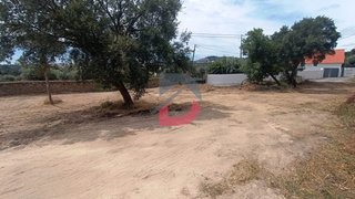 Terreno de 1175 m² em Castelo Branco