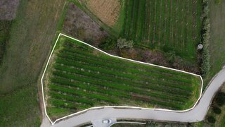 Land for sale in Alcobaça, Portugal — €30,000