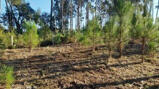 Terreno de 700 m² em Leiria