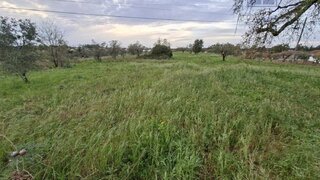 Land for sale in Pombal, Portugal — €50,000