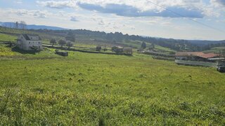 Land for sale in Alcobaça, Portugal — €28,000