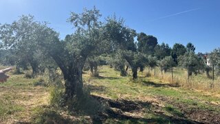 Land for sale in Fundão, Portugal — €30,000