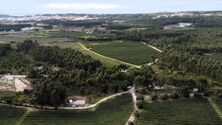 Land for sale in Alcobaça, Portugal — €25,000