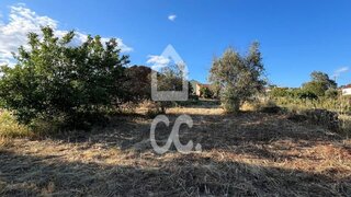 Terreno de 679 m² em Castelo Branco