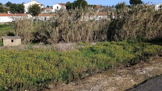 Land for sale in Alcobaça, Portugal — €195,000