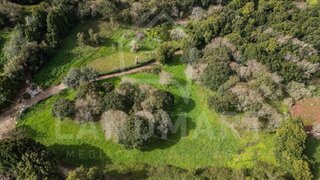 Land for sale in Alcobaça, Portugal — €105,000
