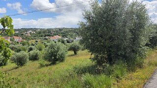 Terreno em Tomar
