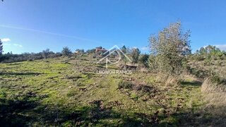 Terreno de 7500 m² em Castelo Branco