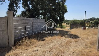 Terreno de 8750 m² em Castelo Branco