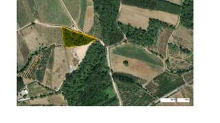 Land for sale in Alcobaça, Portugal — €60,000