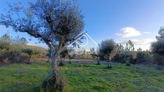 Land for sale in Castelo Branco, Portugal — €40,000