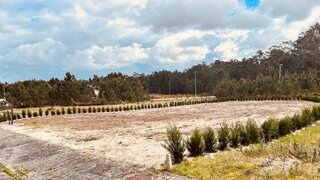 Land for sale in Marinha Grande, Portugal — €39,999