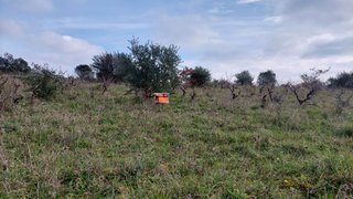 Land for sale in Ferreira do Zêzere, Portugal — €14,900