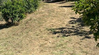 Land for sale in Santarém, Portugal — €185,000