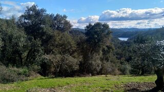Terreno para venda em Tomar, Portugal — 10 000 €