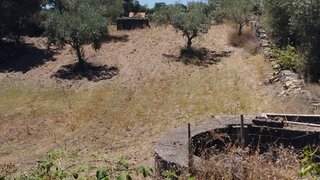 Terreno de 1373 m² em Castelo Branco