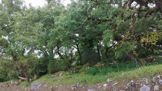 Land for sale in Batalha, Portugal — €20,000