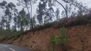 Terreno em Sertã · 3500 m² · 10 000 €
