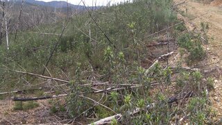 Land for sale in Vila de Rei, Portugal — €8,500