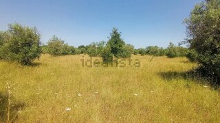 Land for sale in Alvaiázere, Portugal — €45,000