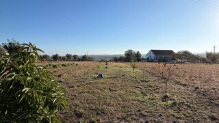 Terreno para venda em Pombal, Portugal — 25 000 €