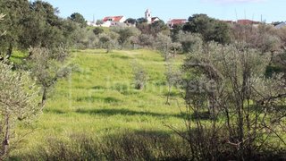 Terreno em Castelo Branco · 3750 m² · 12 500 €